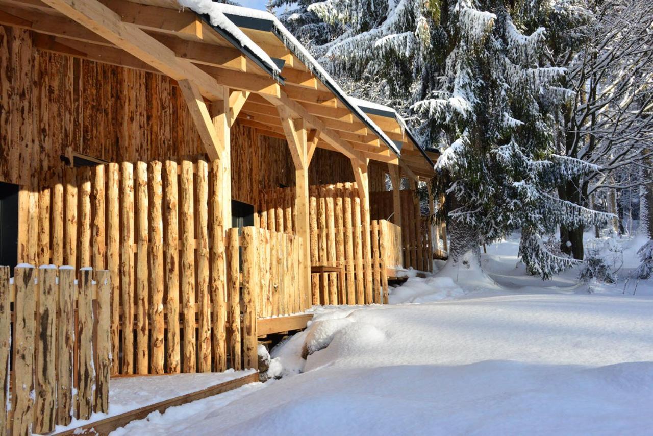 Montanie Resort Desná Eksteriør billede